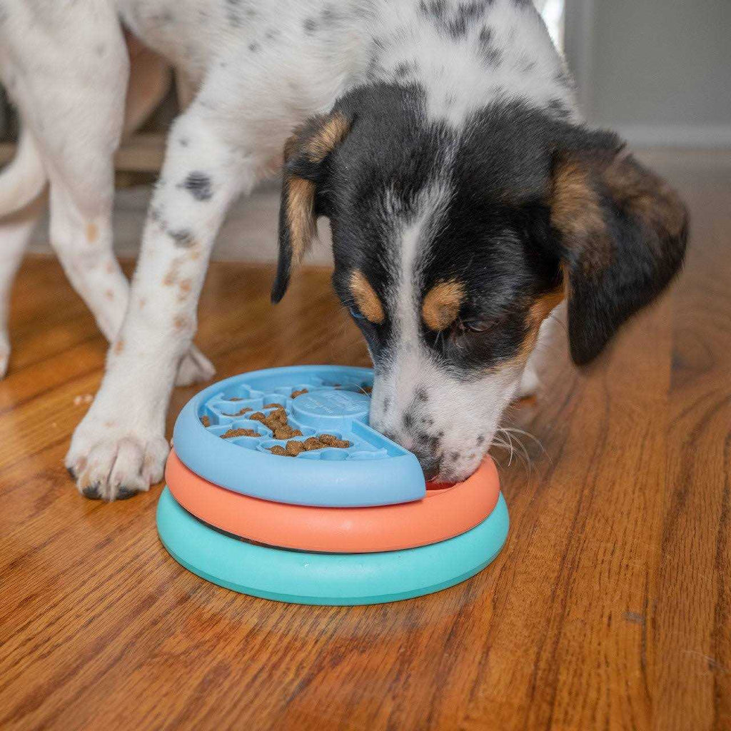 Puppy Puzzle Game K722