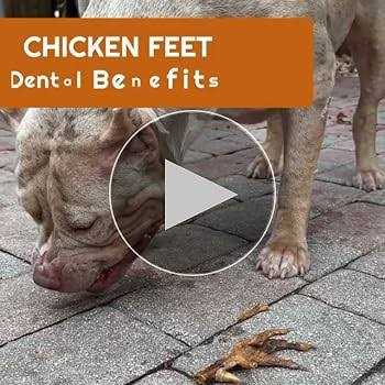 Chicken Feet Dog Treats A370546