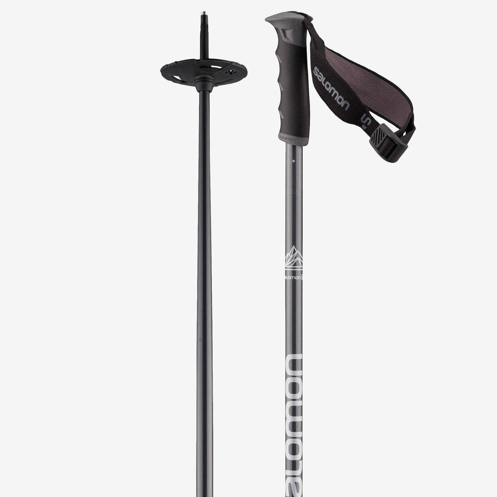 S3 Ski Poles P475553