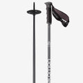 S3 Ski Poles P475553
