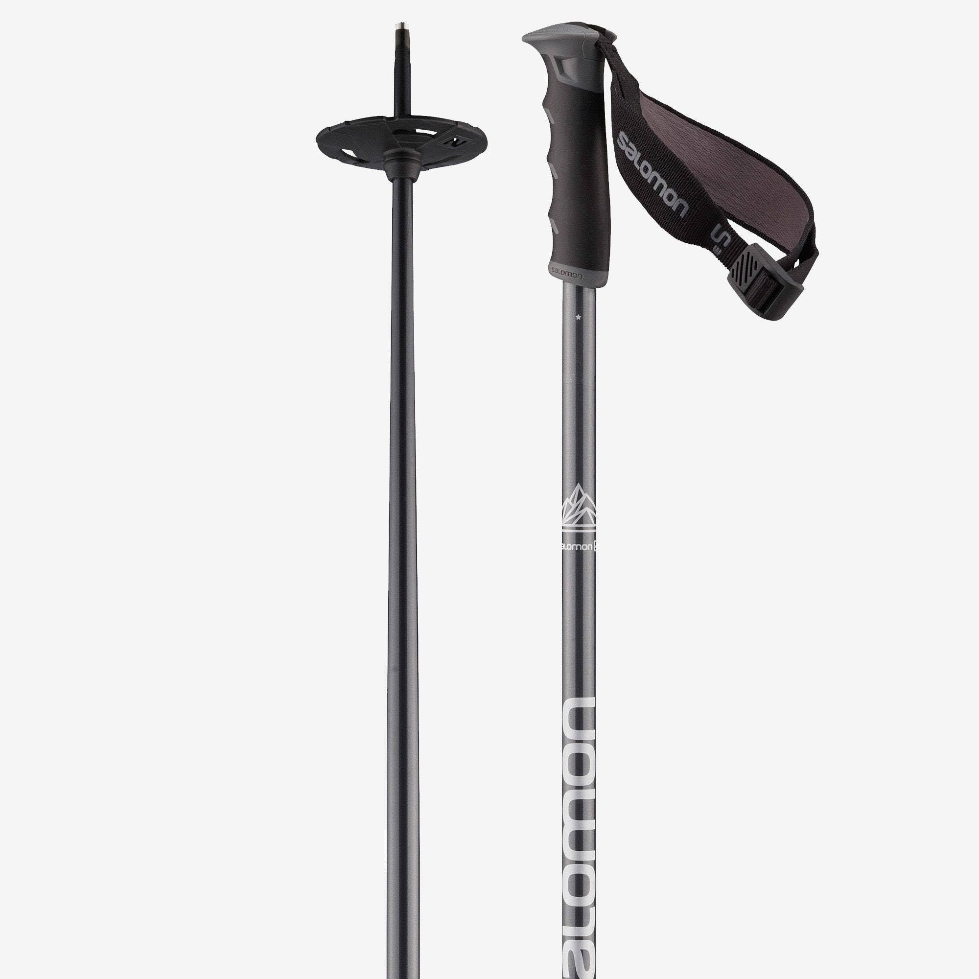 S3 Ski Poles P475553