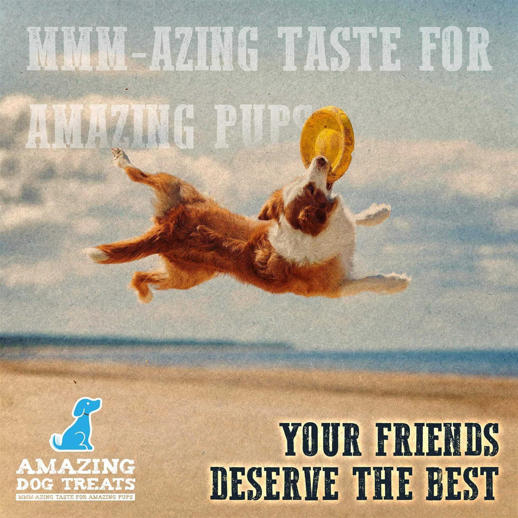 Chicken Feet Dog Treats A370546