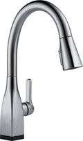 Arctic Stainless Single Handle Pull-Down Kitchen Faucet F344507