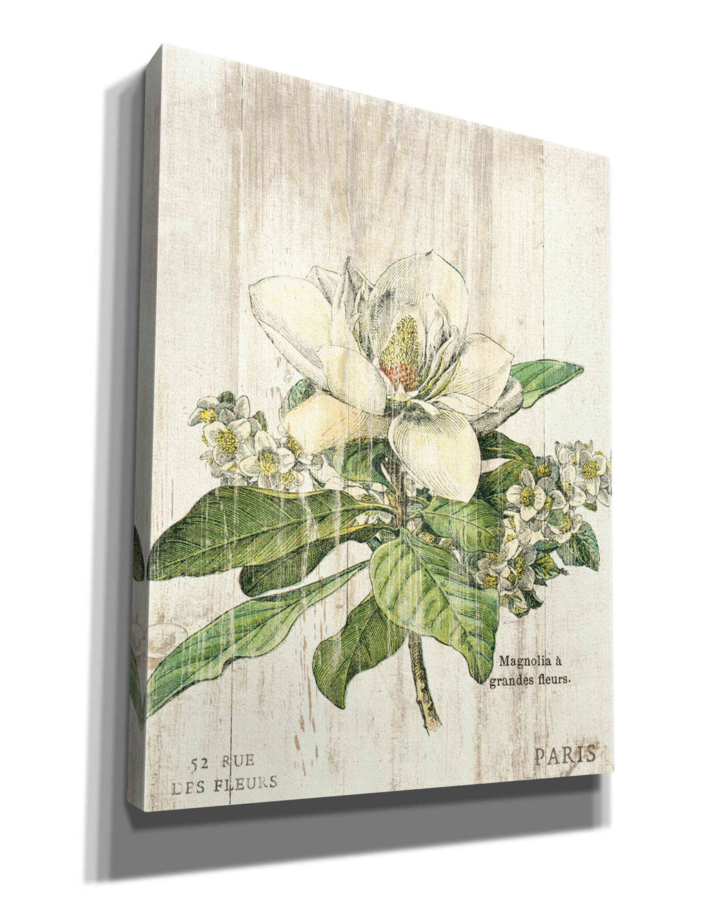 Giclee Canvas Wall Art, 26"x34" Z802