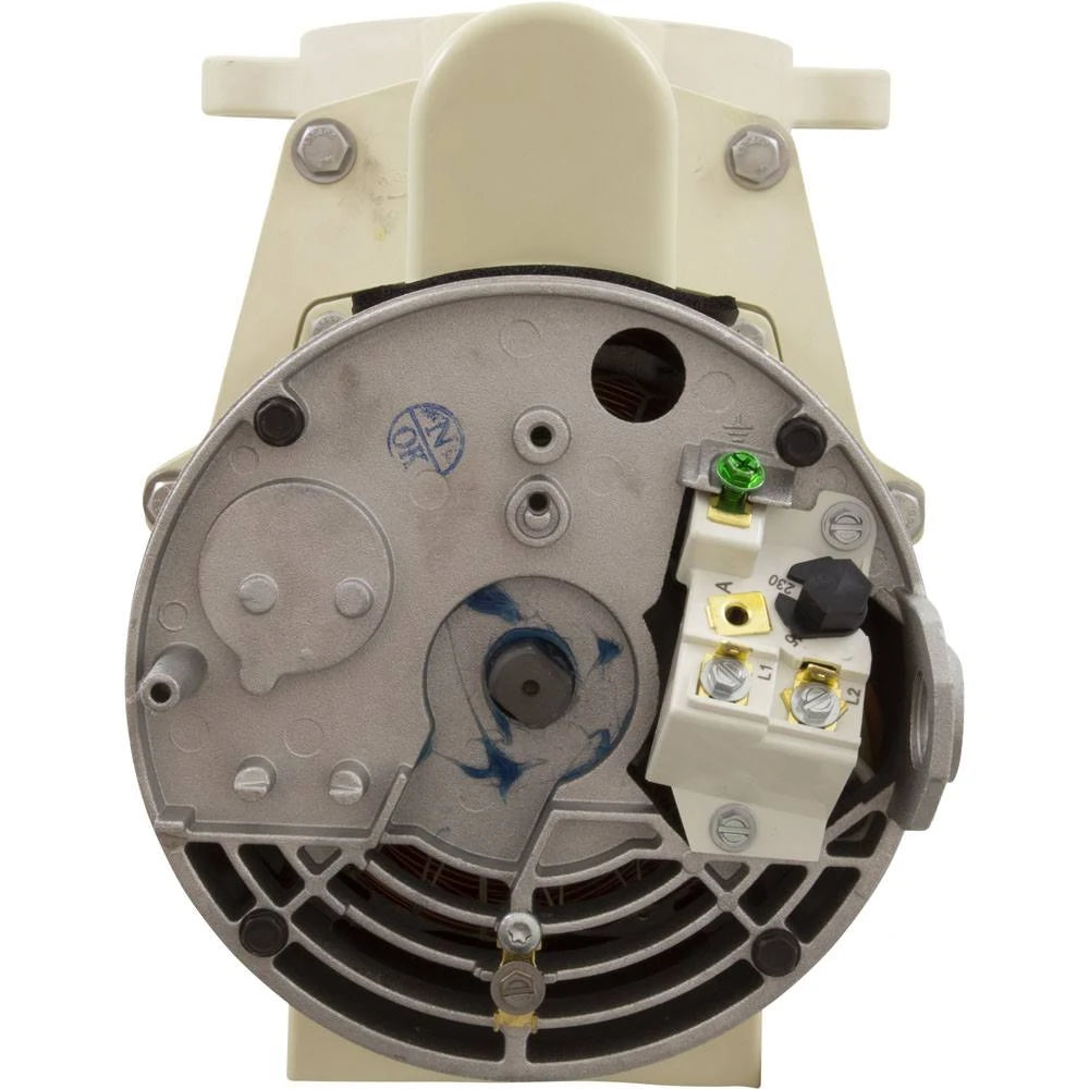 1.5 HP Pool Pump H847407